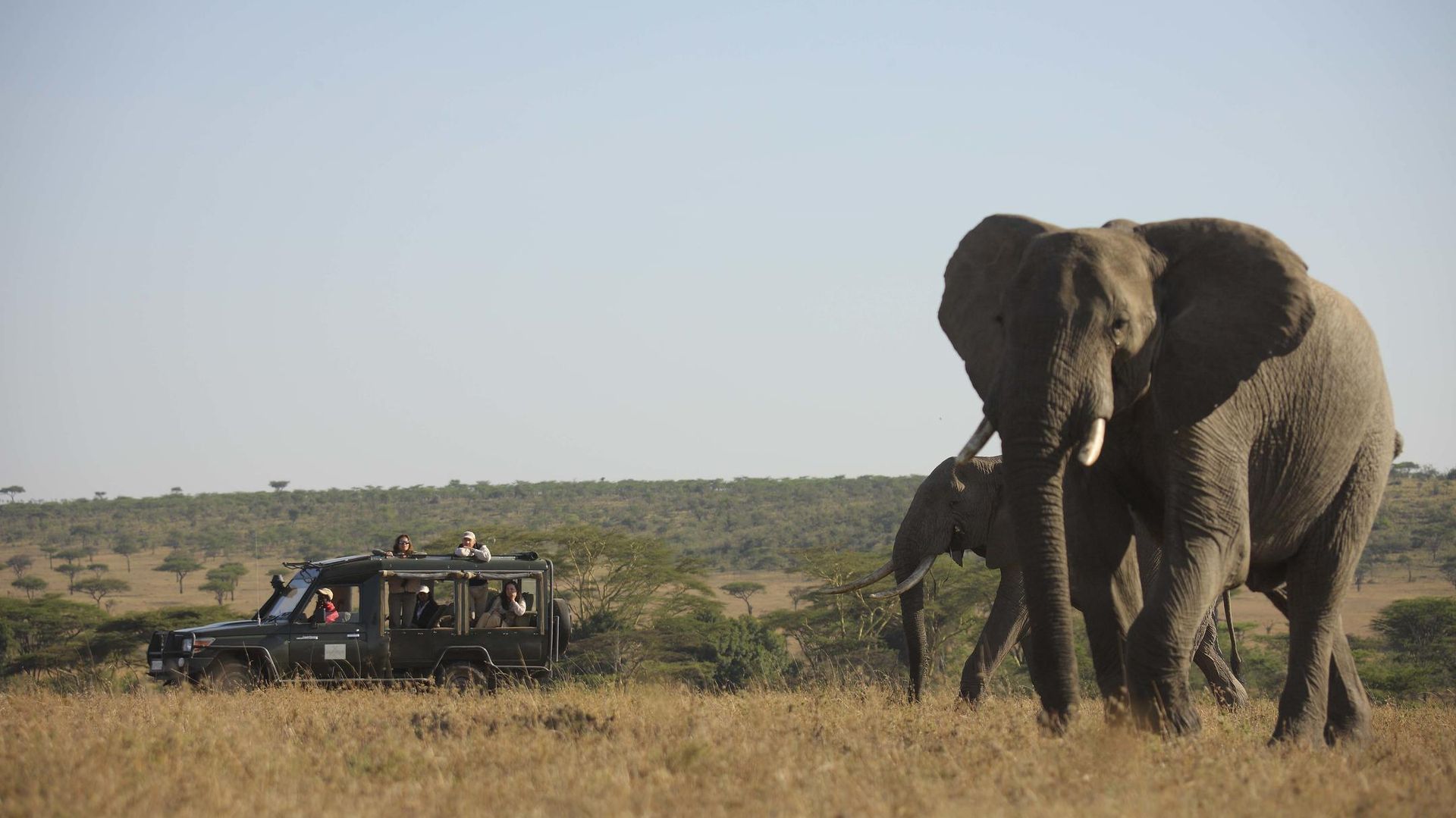 Kicheche Valley Camp Naboisho » Kenia » Matoke Tours